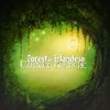 Relax Ambientale Musica Zen Club - Nella foresta selvaggia