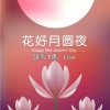 踏雪飞鹰 - 花好月圆夜