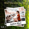 Classical Music For Studying、Music for Focus and Concentration、Binaural Bob - Work & Music