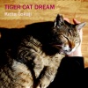 Keita・T - Amber Glass