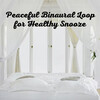 Binaural Beats Study Tones、Binaural Moods、Binaural Bob - Asleep Behaviour