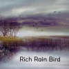 Natural Nature Makers《Rich Rain Bird》[MP3/LRC]