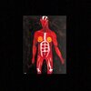 Tyler Johnson - Lies