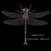 Marshall、Lindsey Ray、TAIINA - headlock (TAIINA remix)