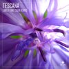 Tescana、Squib - Lonely Time (Squib Edit)