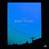 Alex Kislov、Orville Kline - Want To Feel (Orville Kline Remix)