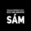 Dano Kapitán、LuciferBeats、DelPes、Sakal、Vladis - Sám (Explicit)