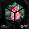 Brayan Rumiche - Vida