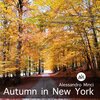 Alessandro Minci、Vernon Duke - Autumn in New York