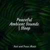 Baby Sleep、Sleepy Times、Happy Baby Lullaby Collection - Totally Relaxed