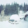 华哥 - 记忆里的雪