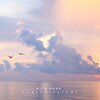 Nils Hahn - Taking Flight