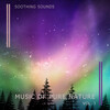 Soothing Air、Sea Sleeping Waves、Relax Radio 1、Nature Songs Nature Music - Forest Tunes for Instant Dreams pt. 5 (feat. Sea Sleeping Waves, Relax Radio 1 & Nature Songs Nature Music)