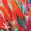 CARO苏艾 - 坠落