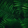 Sleepy Times、Zen Music Garden、Rain for Deep Sleep - Comfortable Springtime
