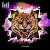 David Del Olmo、DJ Mara - Summer (Original Mix)