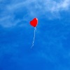 Seven-In-Music - Inspiration