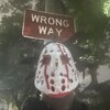 Abc Lulz - Eleven.5 (Explicit)