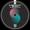 Sammy W、I.C.S.、Alex E《What I Like (Original Mix)》[MP3/LRC]