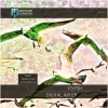 rAin (MU)、Yonsh - Digital Air (rAin Remix)