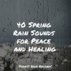 Sleepy Night Music、Massagem Guru、Rain Makers - Lake, Water Lapping, Light