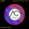 Aleandro Ferrer - Just Bealive (Original Mix)