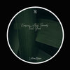 Alex Sounds、Kassier - Feel Good (Original Mix)