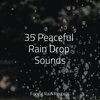 Chakra Balancing Sound Therapy、Rain Sound Plus、Yoga Trainer - Woodland Ambience (Birds)