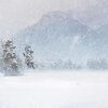 Un.Luckee - Today It´s Cold
