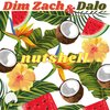 Dim Zach、DALO、Simone D'Alonzo - Nutshell (Dim Zach Mix)