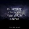 Happy Baby Lullaby Collection、Academia de Música para Massagem e Relaxamento、Sleep Sound of Nature - Rainy Night