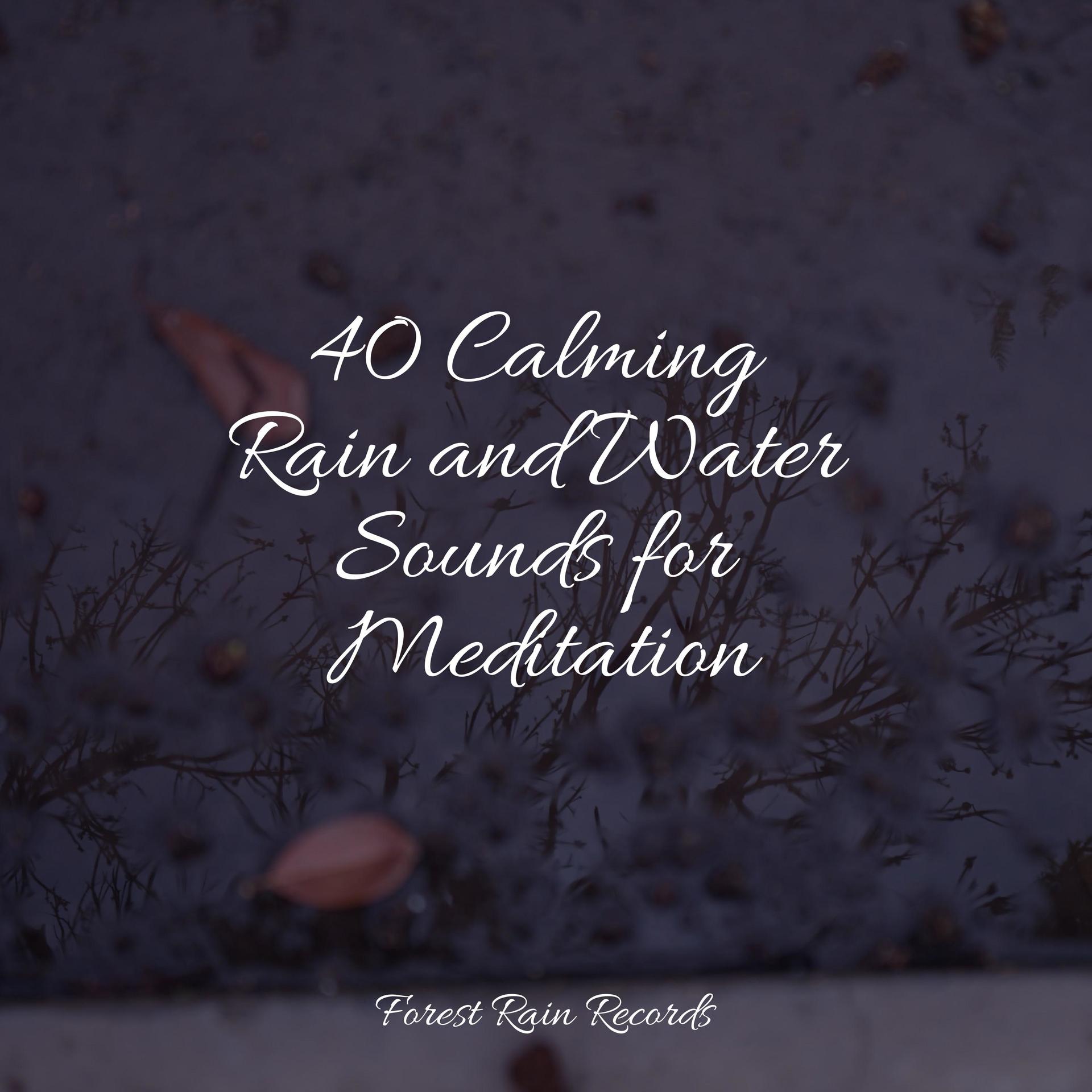 Sonidos De Lluvia y Tormentas、Meditation Music Club、Rain Forest FX - Soft Rains on the Window