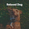 Music for Leaving Dogs Home Alone - Bantam