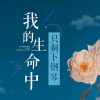 助眠纯音乐《钢琴曲《忧伤还是快乐》[MP3/LRC]