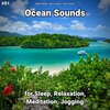 Beach Sounds、Ocean Sounds、Nature Sounds - Ocean Sounds Pt. 1