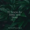 Avslappning Sound、Spa Relaxation、Sleepy Times - Running Among the Leaves