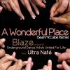 Ultra Nate----[replace by 29842]、Ultra Naté、UDAUFL、Blaze - A Wonderful Place (SEAN MCCABE CLASSIC MIX)