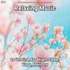 Relaxing Music by Terry Woodbead、Relaxing Spa Music、Yoga - Relaxing Music, Pt. 1