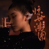 张曦匀 - 惊世鸿图