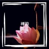曲调同学 - 禅韵 (Live)
