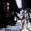 王夕阳 - 微臣