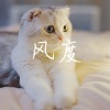 焦磊 - 风度