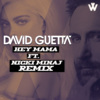 WALFARS、David Guetta、Nicki Minaj、Bebe Rexha、Afrojack - Hey Mama (WALFARS Remix)