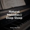 Piano Pianissimo、Exam Study Classical Music Orchestra、Piano para Dormir - Well-Deserved