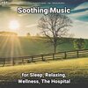 Relaxing Music by Dominik Agnello、Relaxing Spa Music、Yoga - Soothing Music, Pt. 1