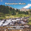 Relaxing Music by Dominik Agnello、Relaxing Spa Music、Yoga - Relaxation Music, Pt. 1