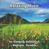 Relaxing Music by Darius Alire、Yoga、Relaxing Music - Dreamy Background Sounds to Help You Sleep