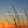 Chris Snelling - Corners