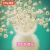 书拉密女 - Praying