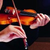 十六黍豆 - 009.André Rieu-Nightingale Serenade